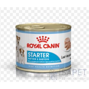 Royal Canin Starter Mousse 12x195g