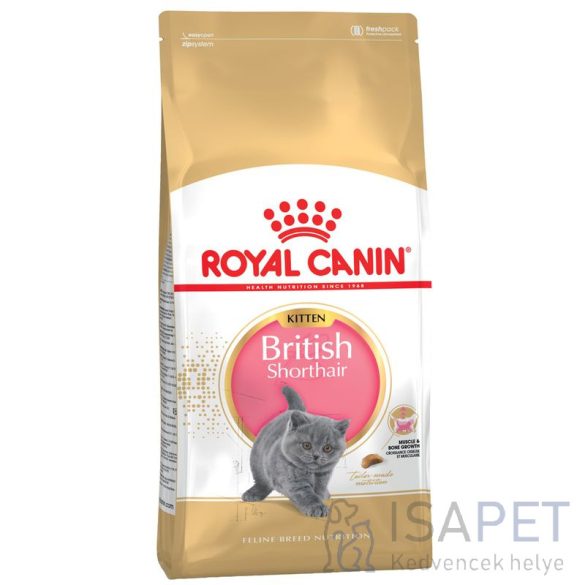 Royal Canin British Shorthair Kitten 10kg