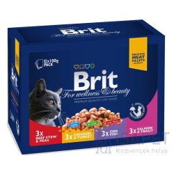 Brit Premium Cat Family Plate 12x100 g