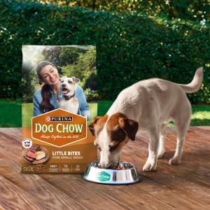 Ismerd meg a Purina Dog Chow eledeleit!